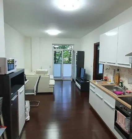 Moser Apartment *